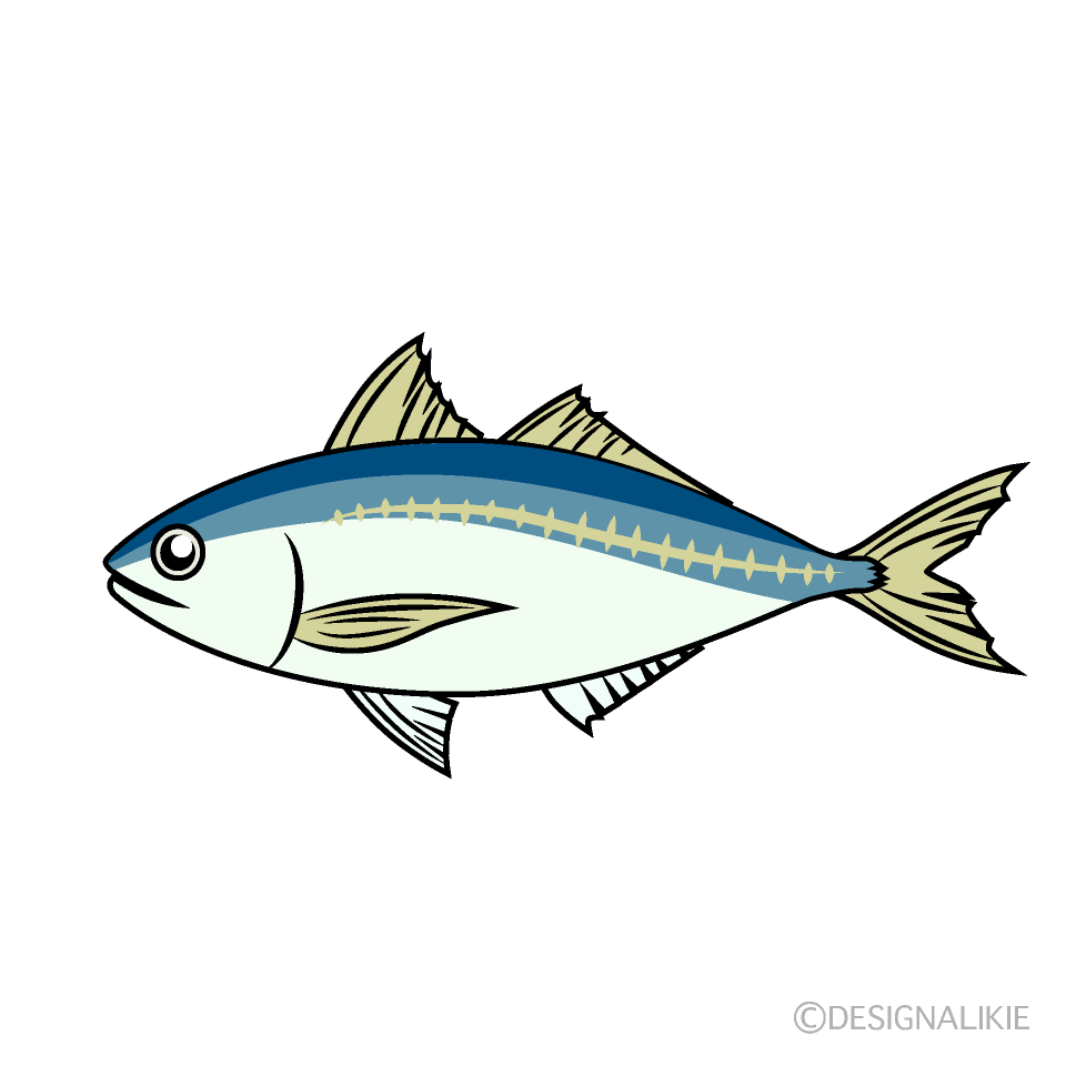 鯵
