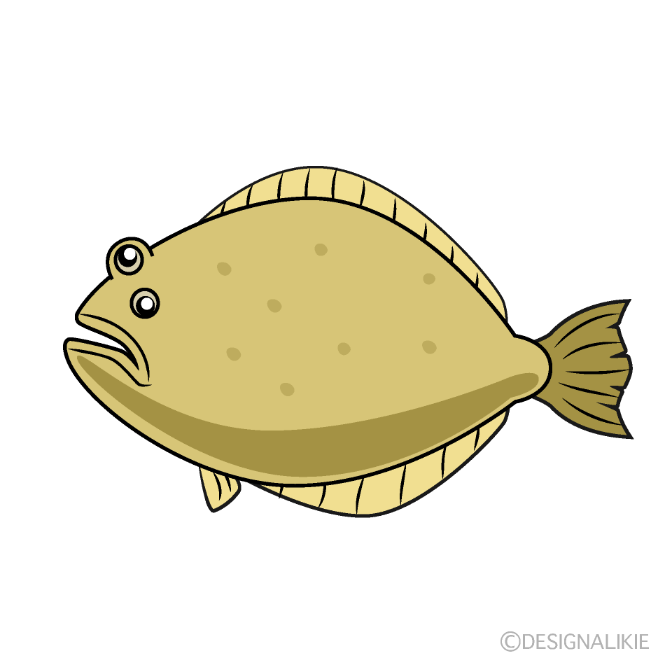 鮃