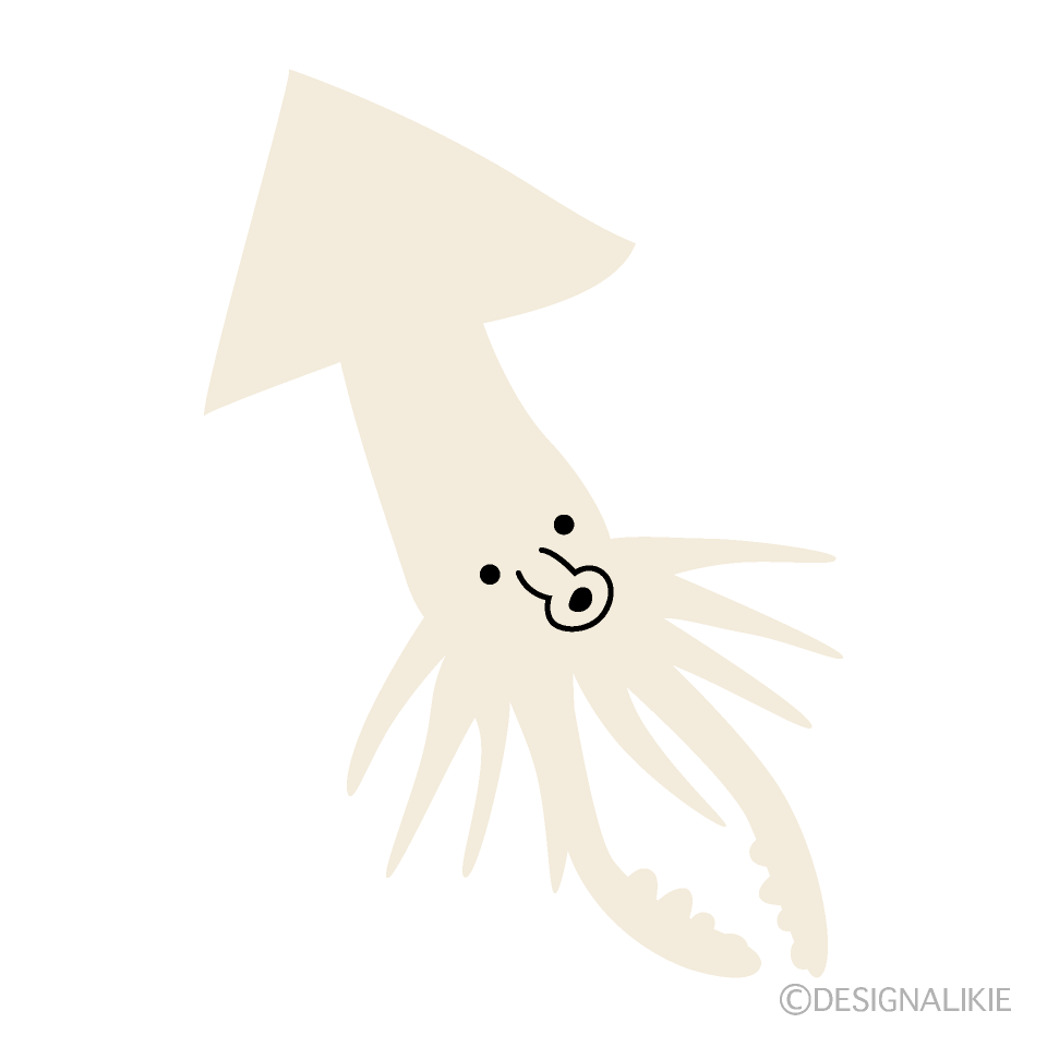 かわいいイカ