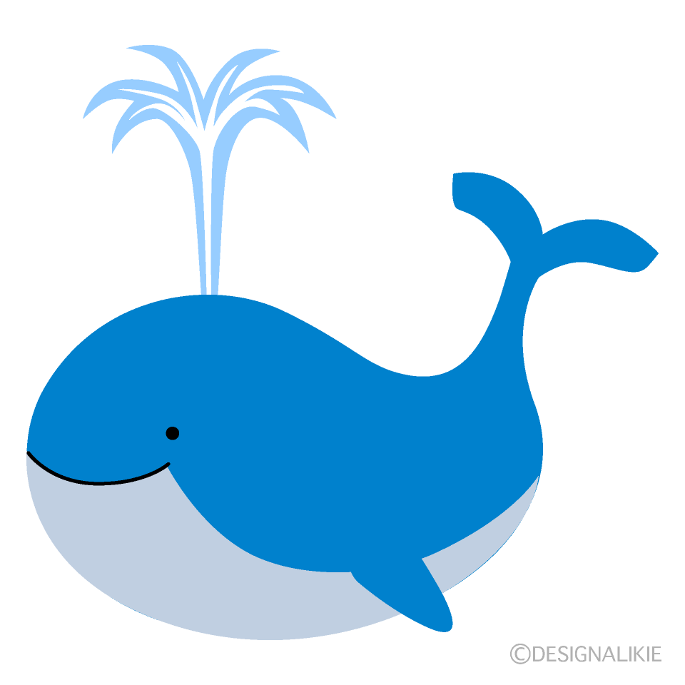 かわいいクジラ