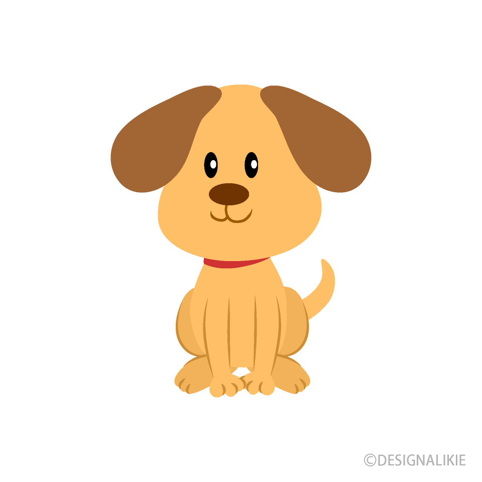 お座りした可愛い子犬