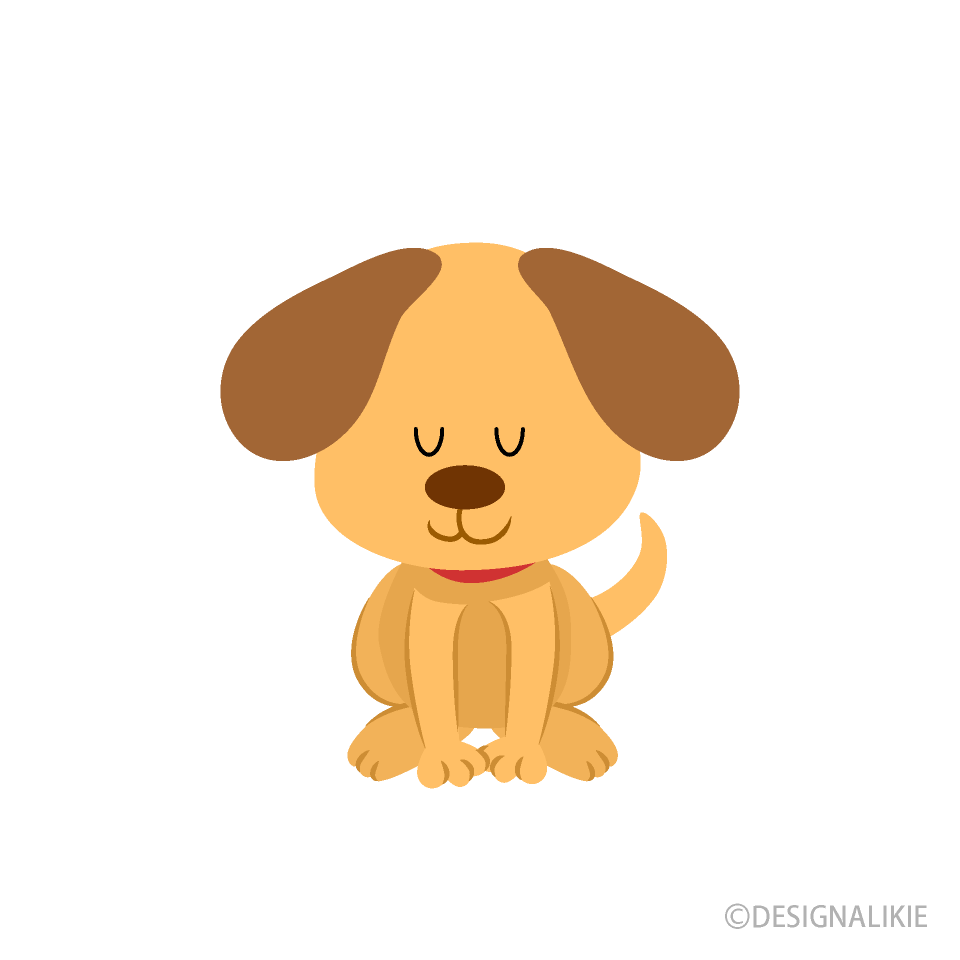 お辞儀する可愛い犬