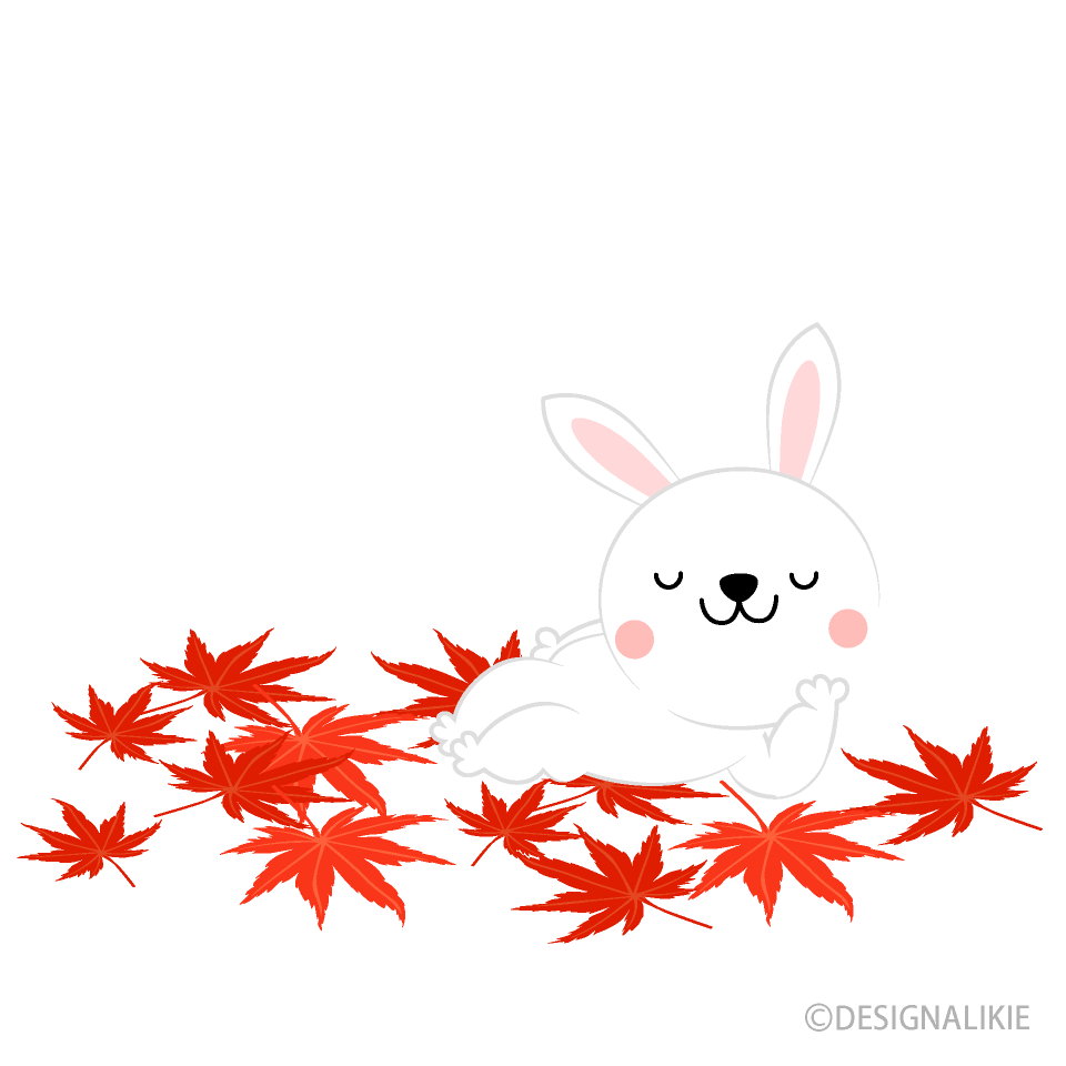紅葉でくつろぐウサギ