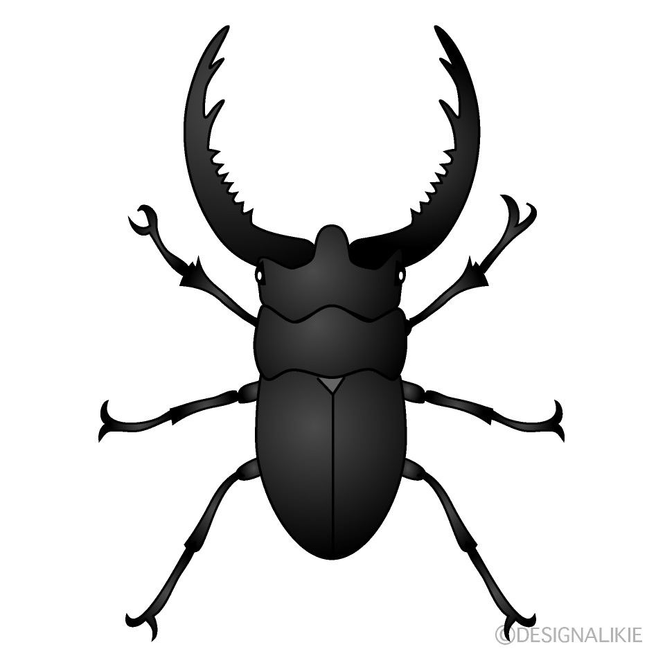 クワガタ虫