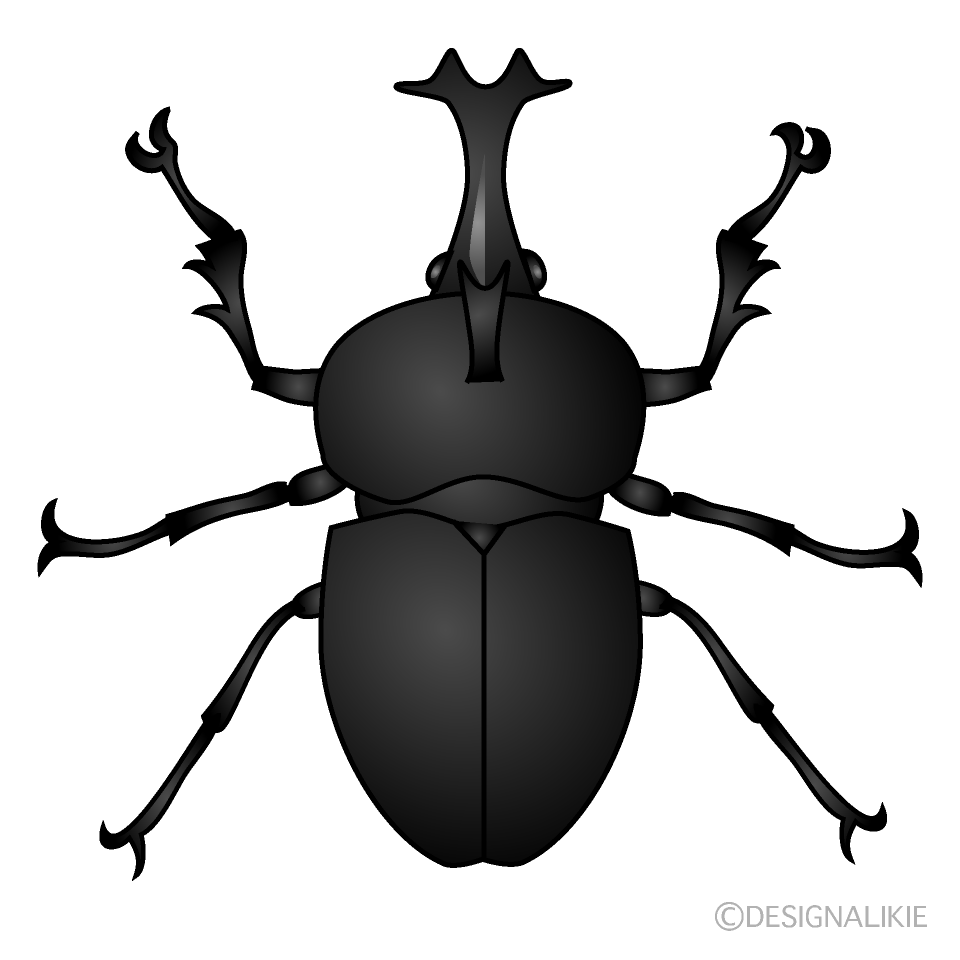 カブトムシ