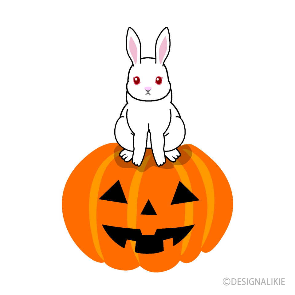 ハロウィンカボチャと白うさぎ