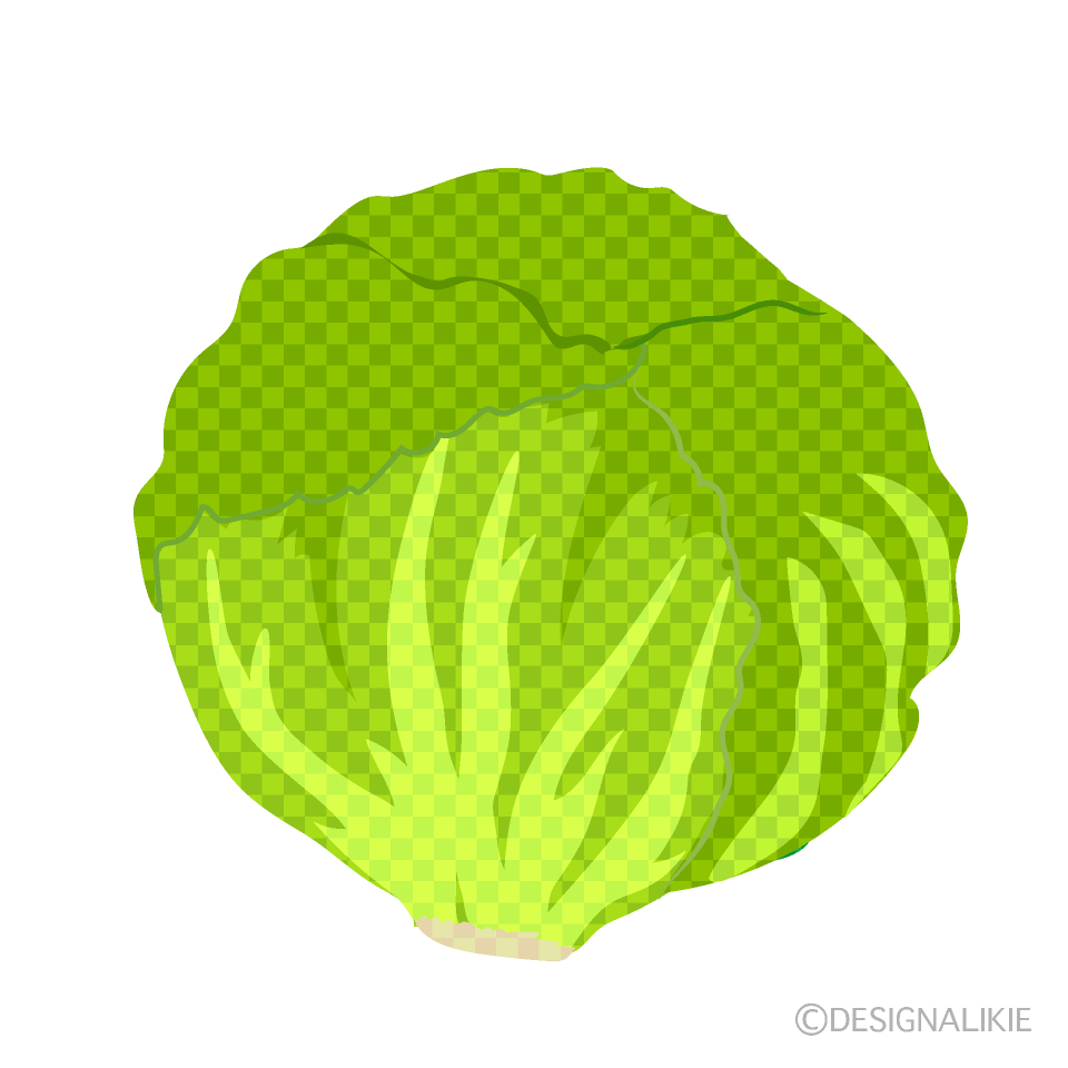 レタス（チェック柄）
