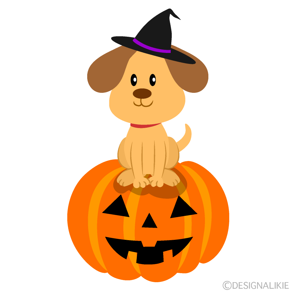 子犬とハロウィンカボチャ