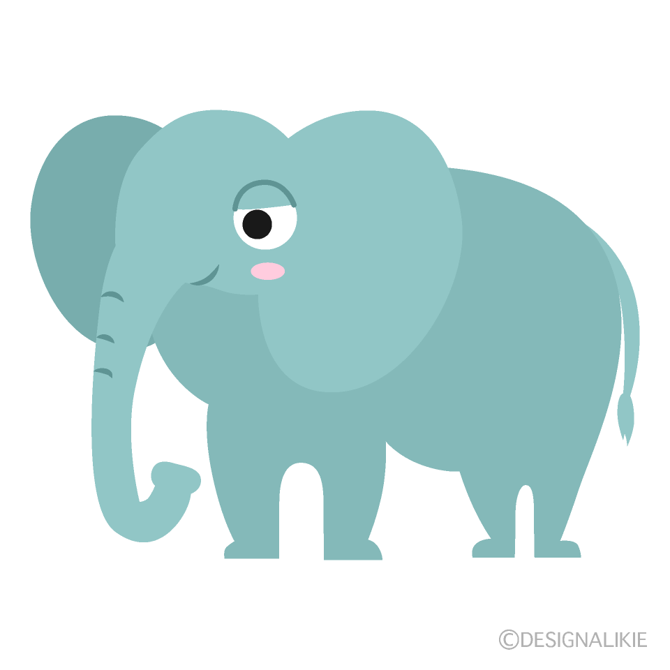 ゾウ