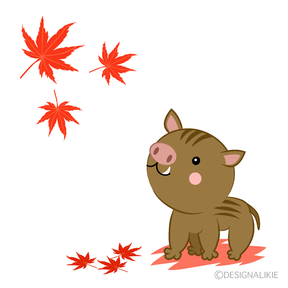紅葉を見るイノシシ