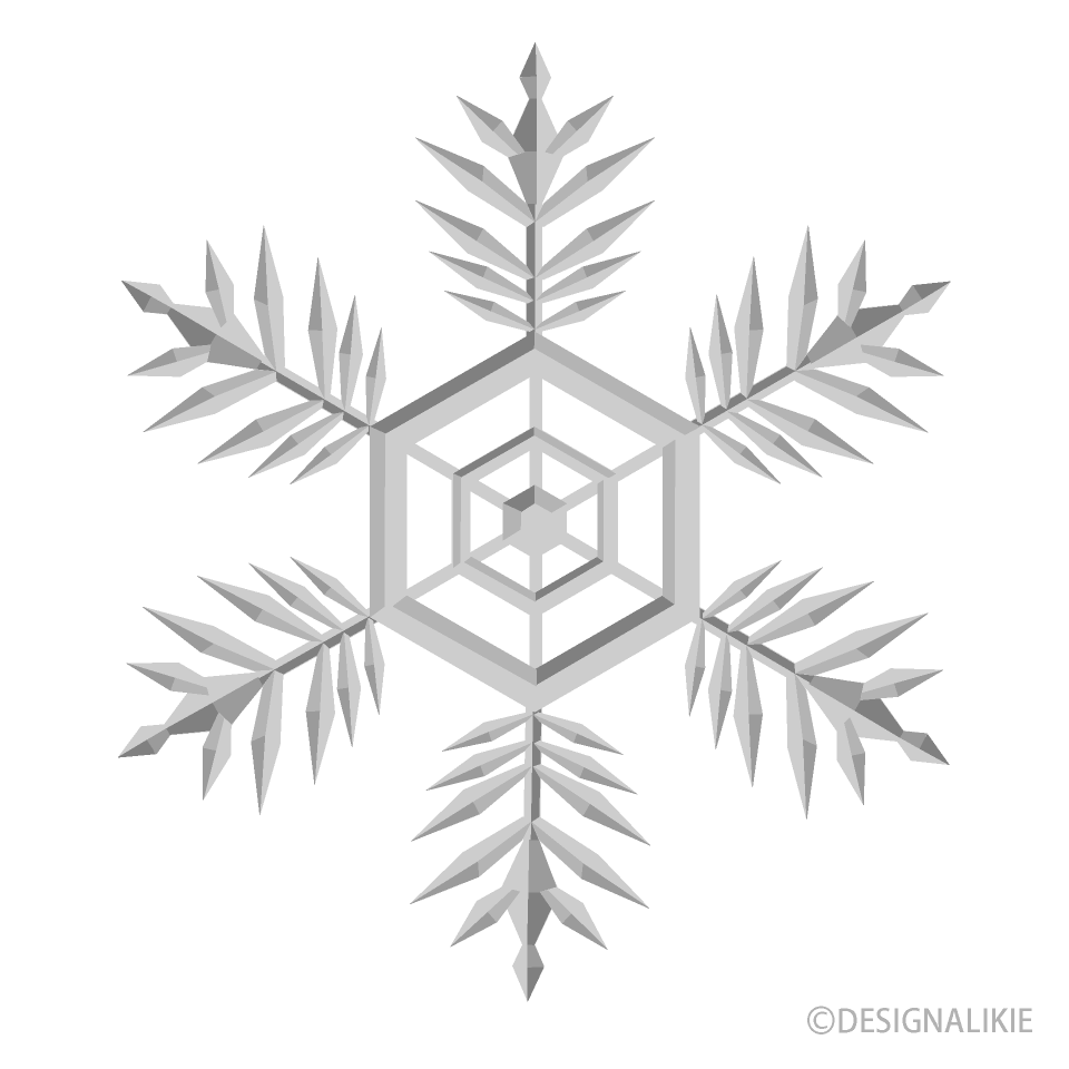 雪の結晶