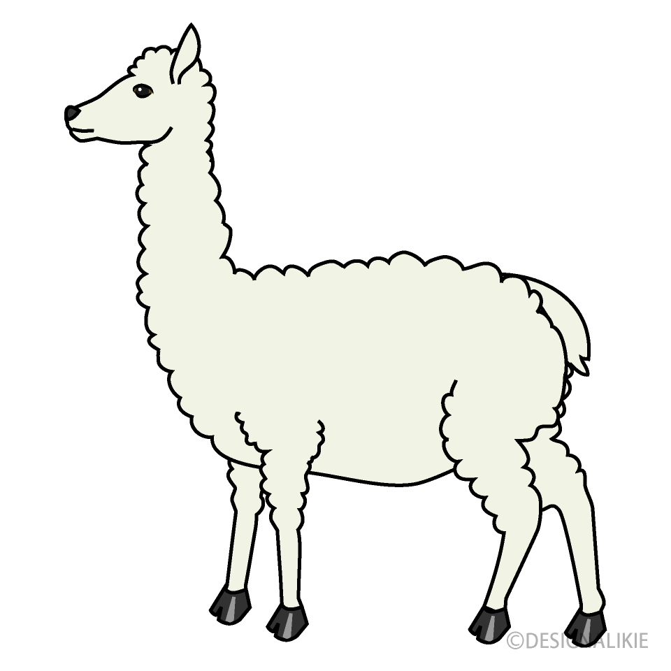 アルパカ