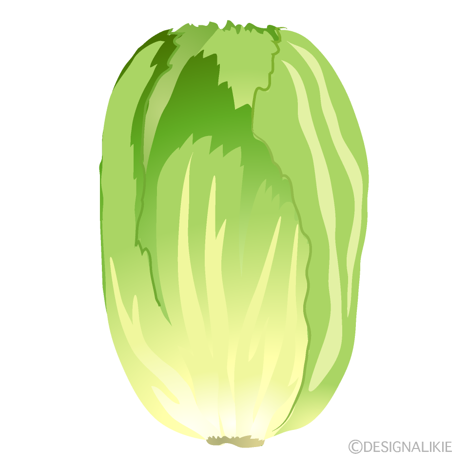 白菜