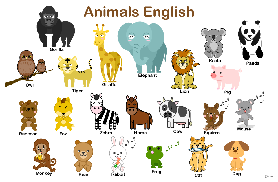 動物英語教材