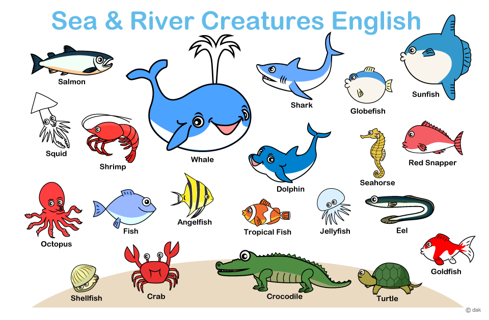 子供の魚英語教材