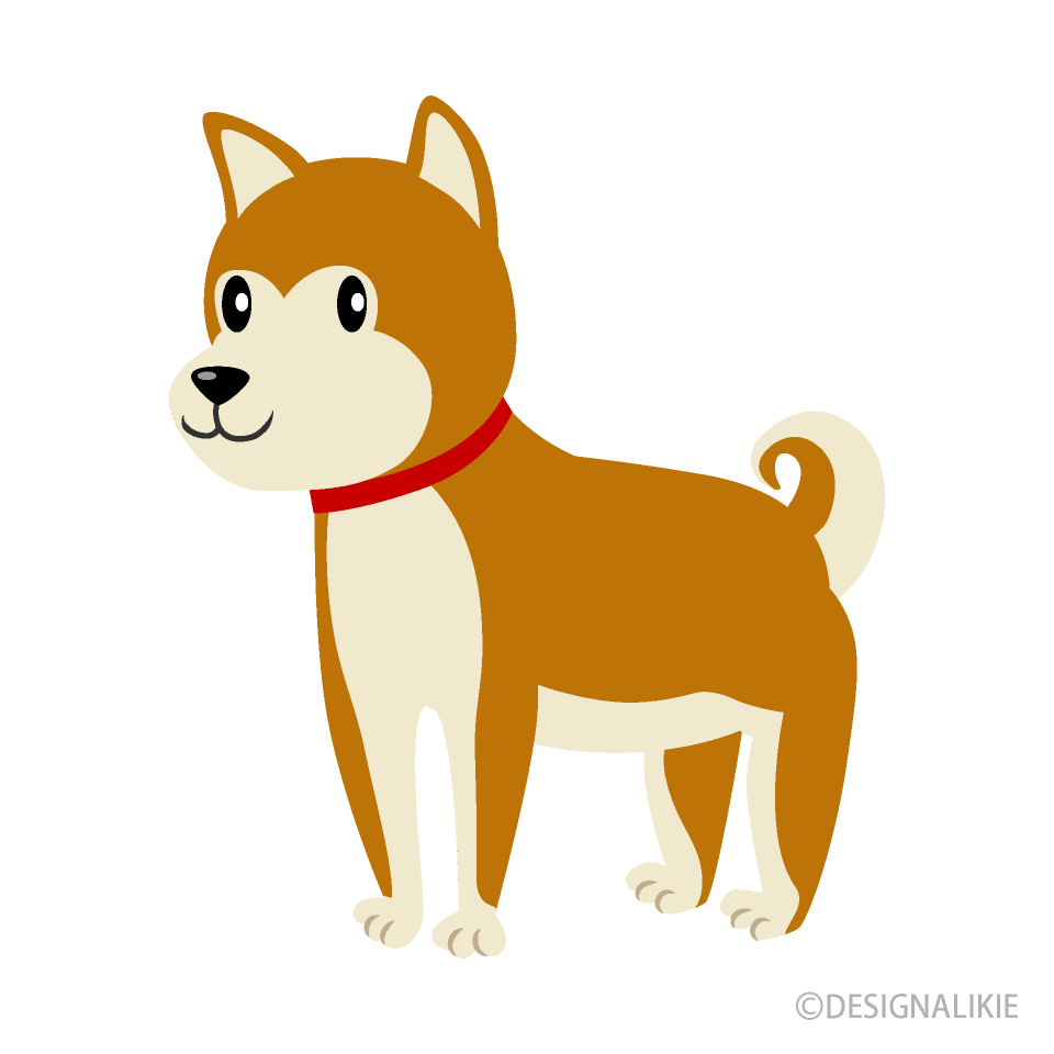 秋田犬