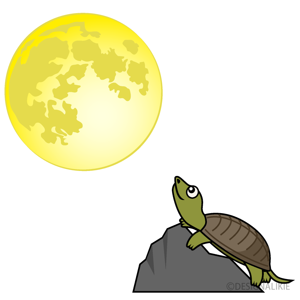 月とすっぽん