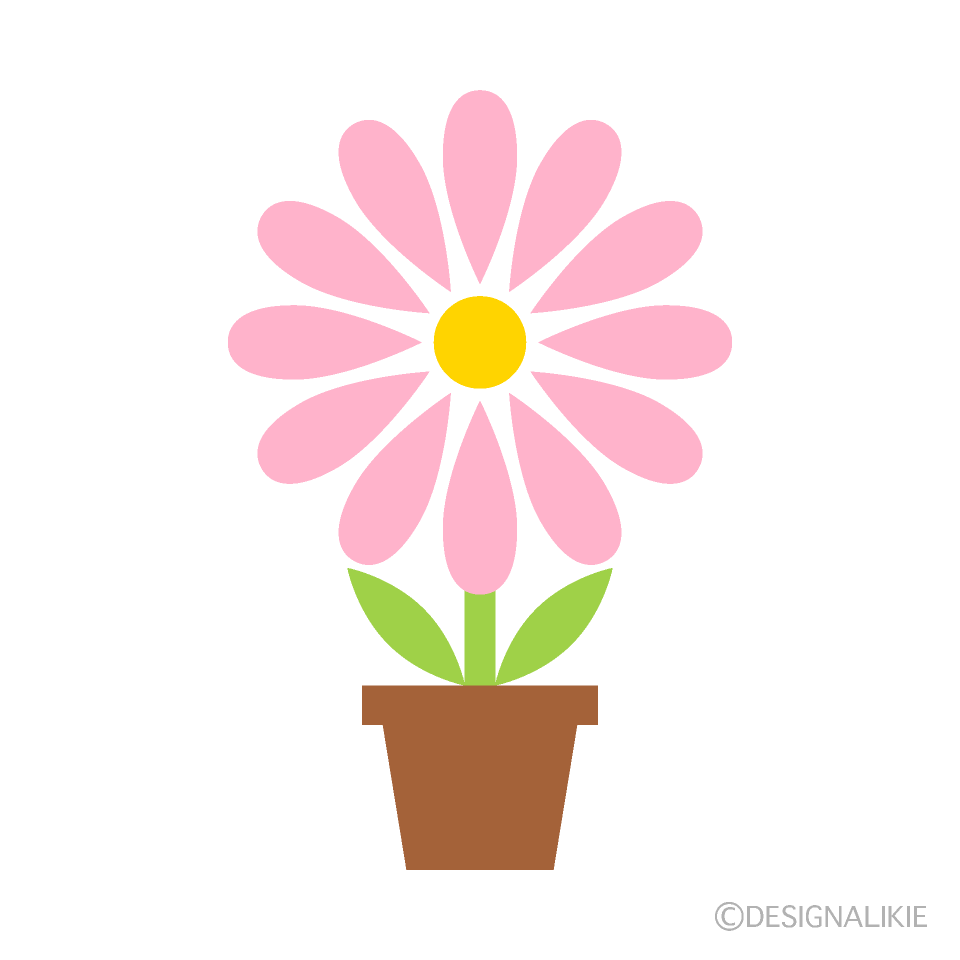 可愛い植木鉢のピンクの花