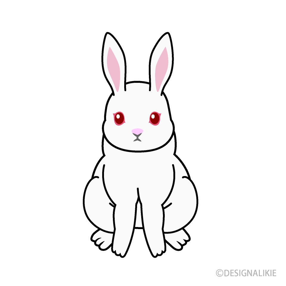 白ウサギ