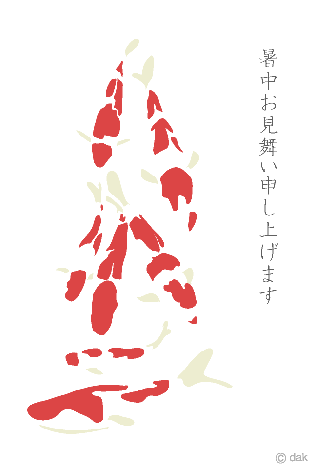 錦鯉の暑中見舞い
