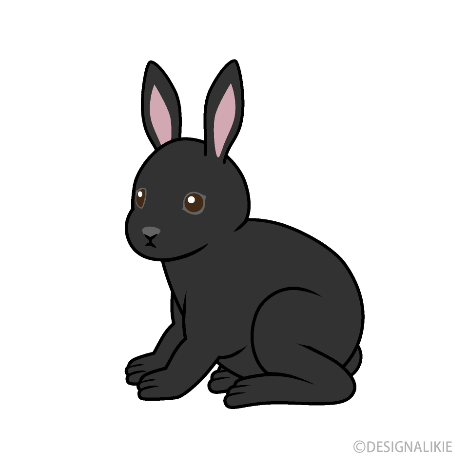 黒うさぎ