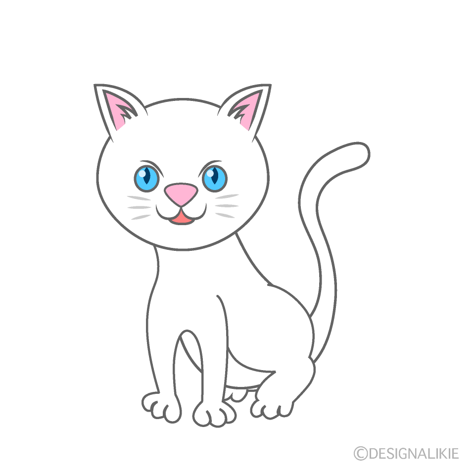 目が青い白猫