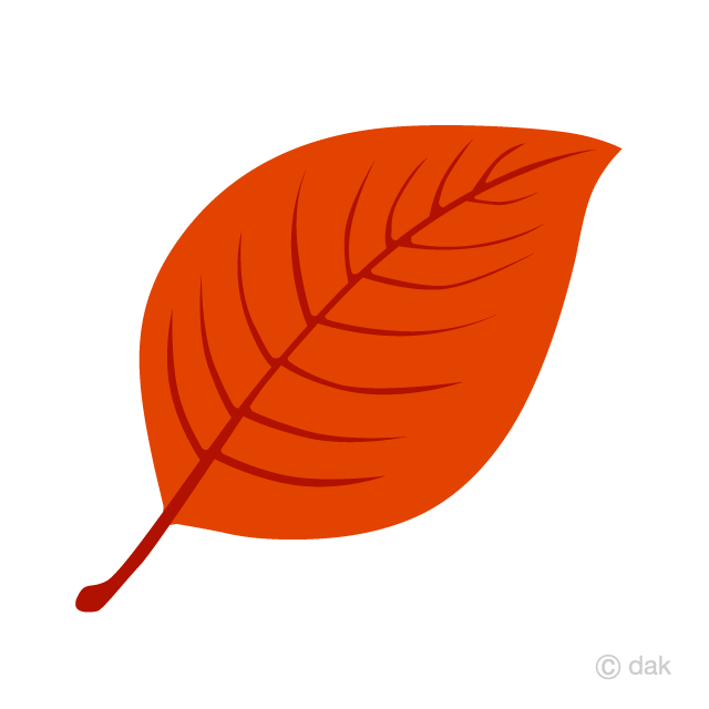 赤色の葉っぱ