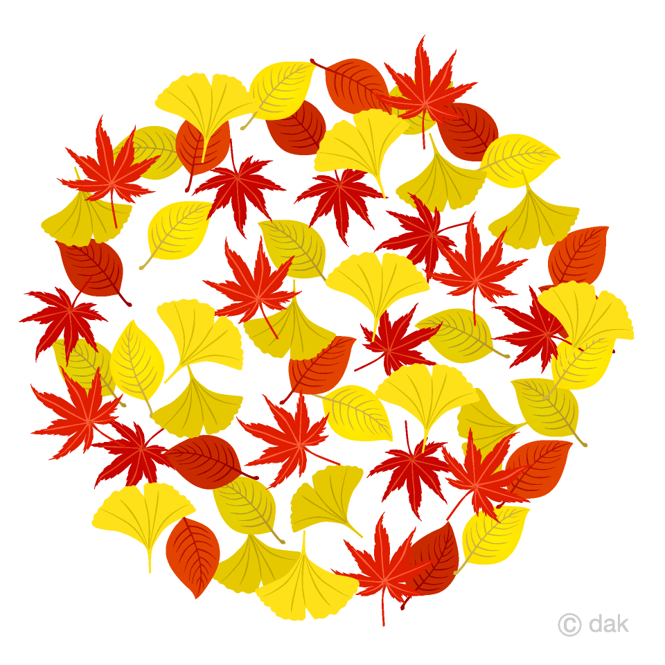紅葉サークル