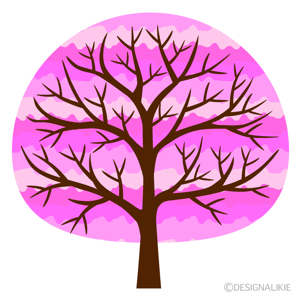おしゃれな桜の木