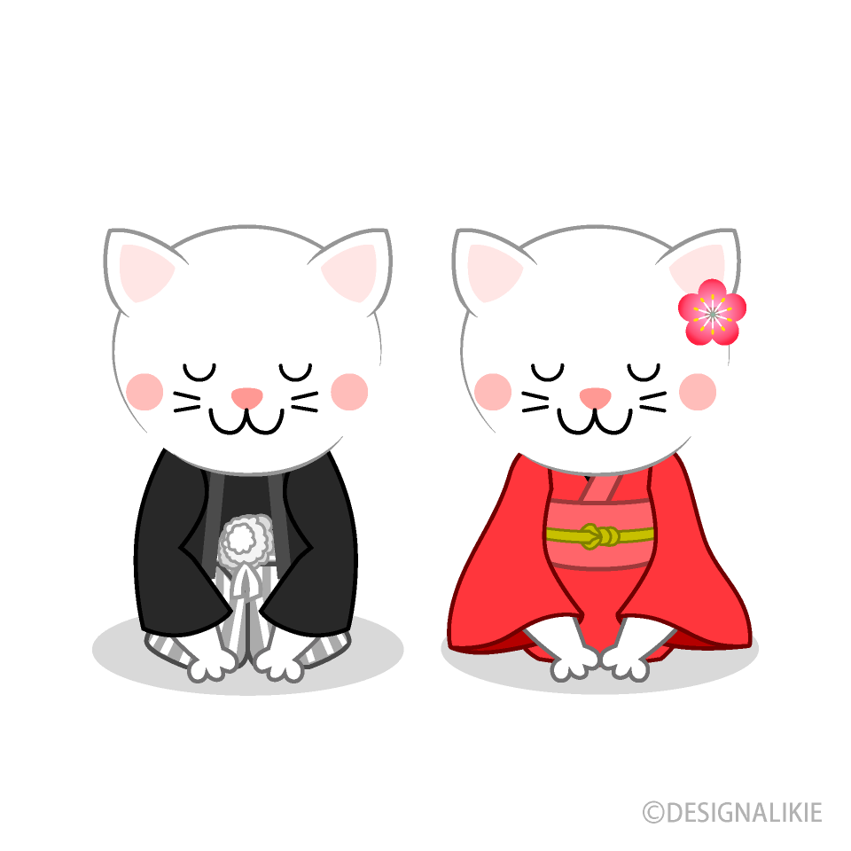 白ネコ夫婦の新年挨拶