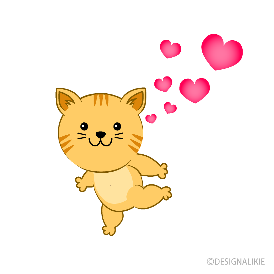 恋するトラ猫