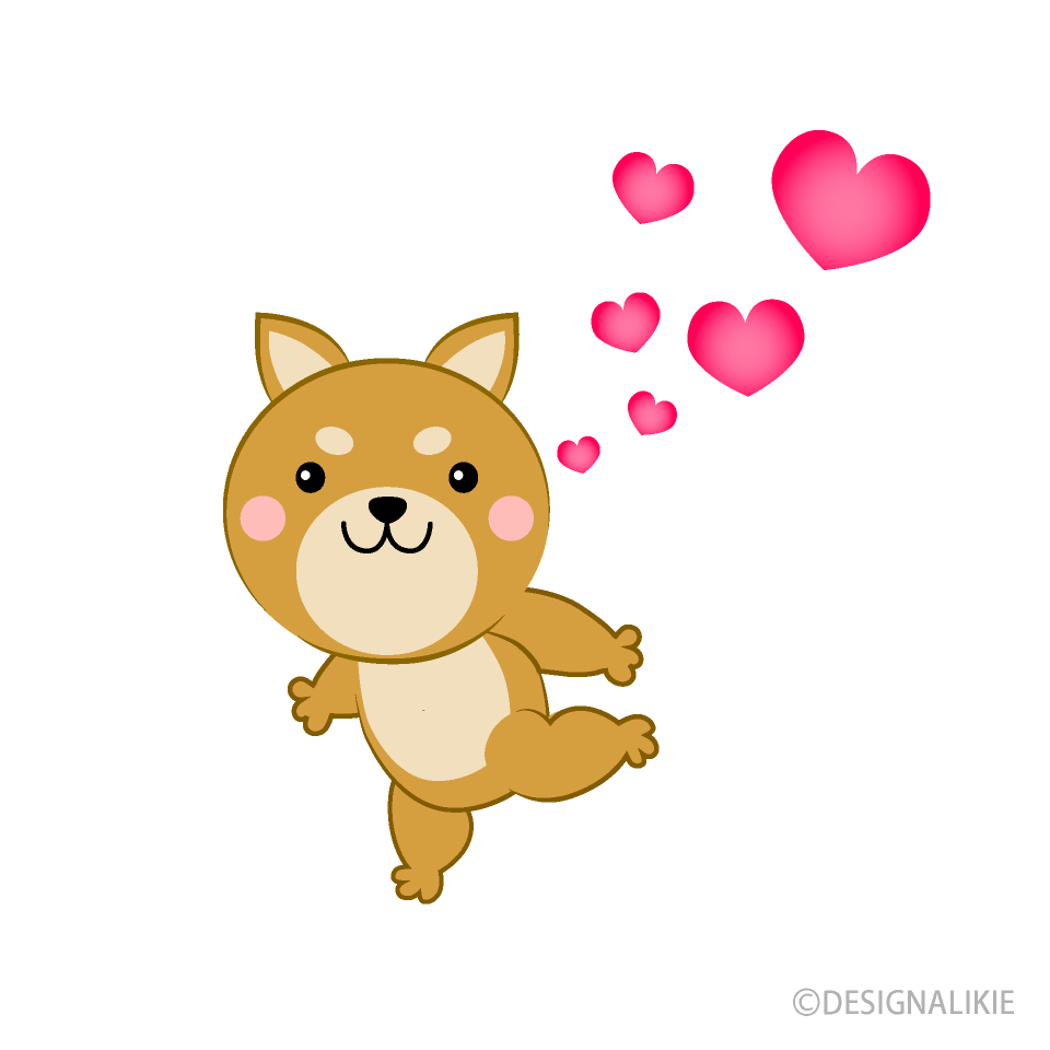 恋する柴犬