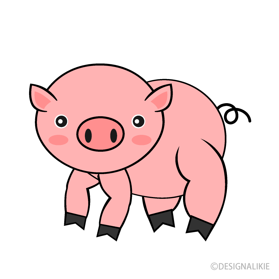 豚