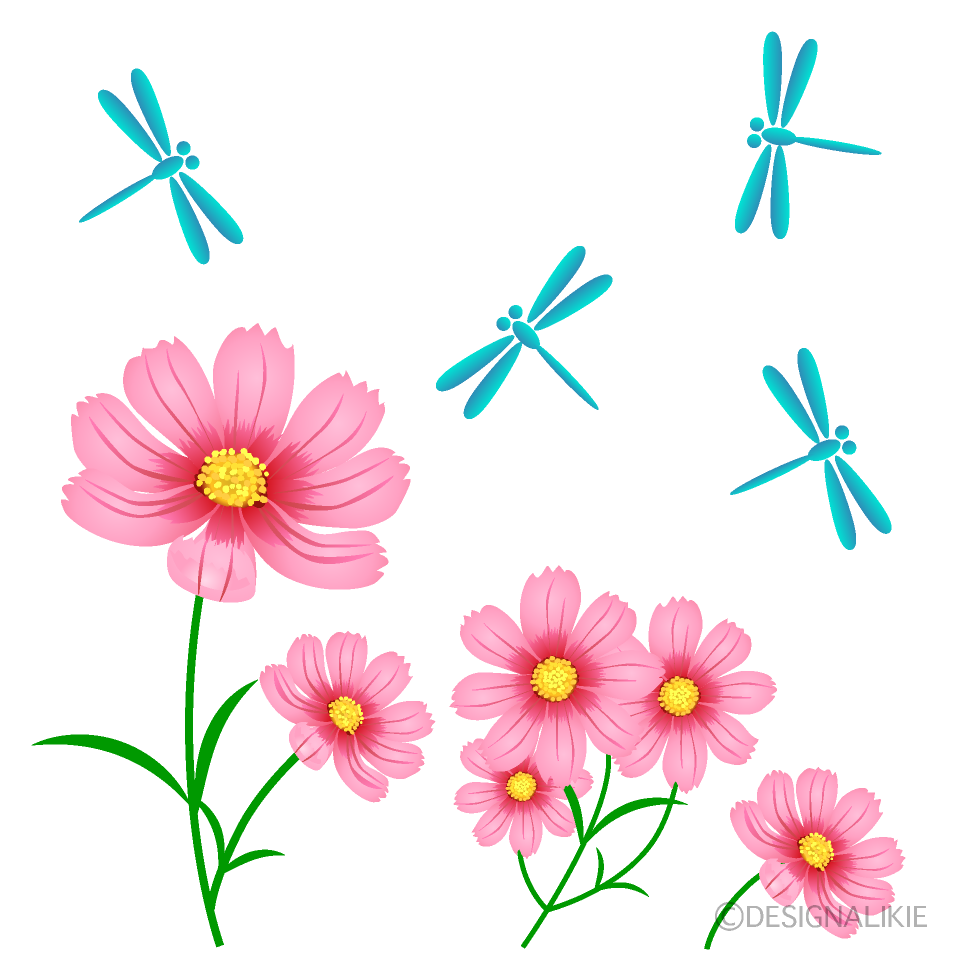 コスモスの花とトンボ