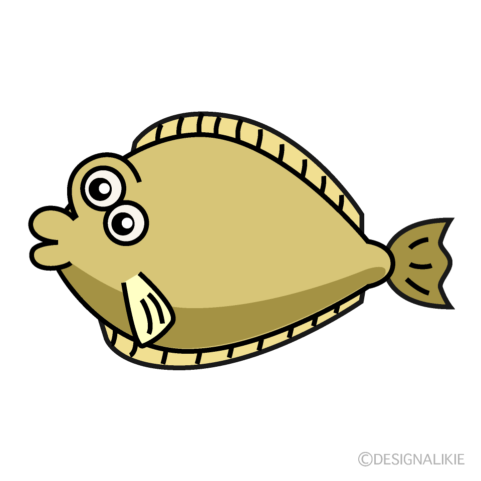 ヒラメ