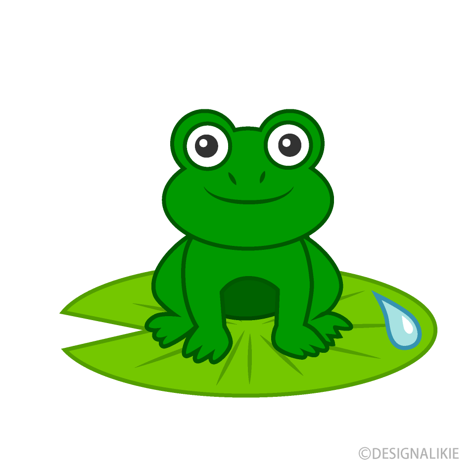 蓮の葉のカエル