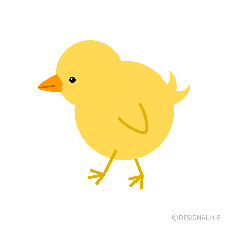 可愛いひよこ
