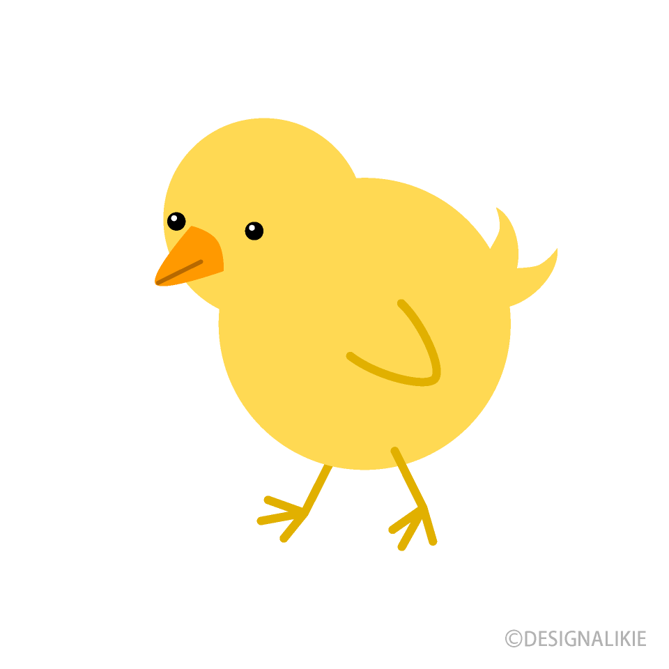 歩くひよこ