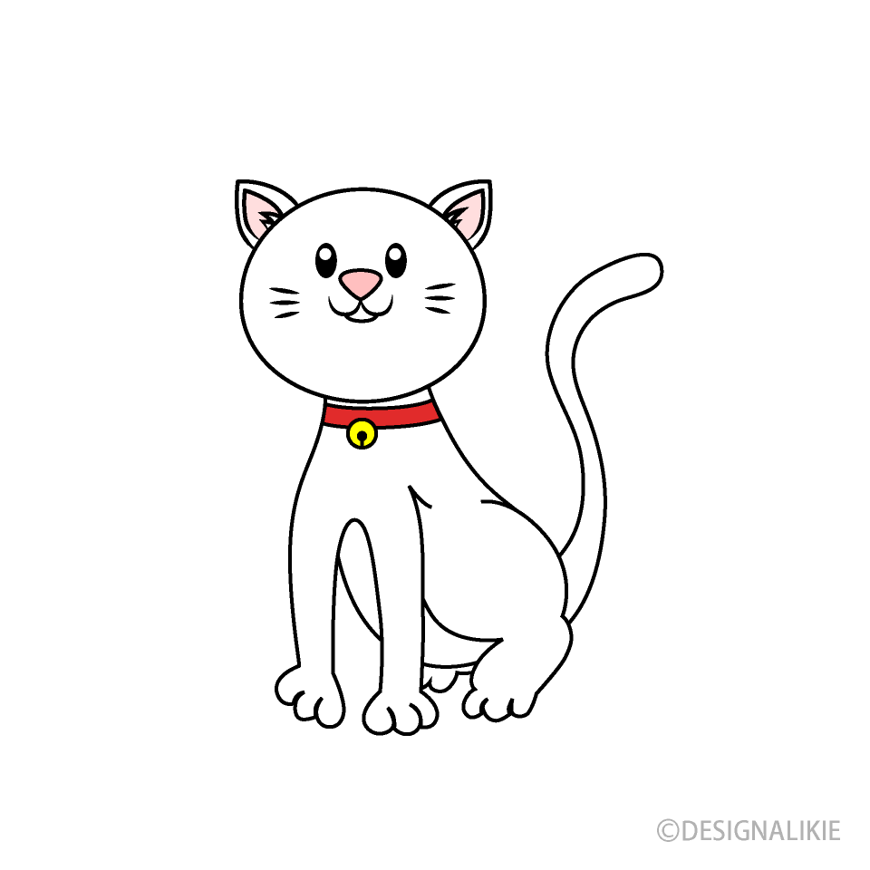 可愛い白い猫