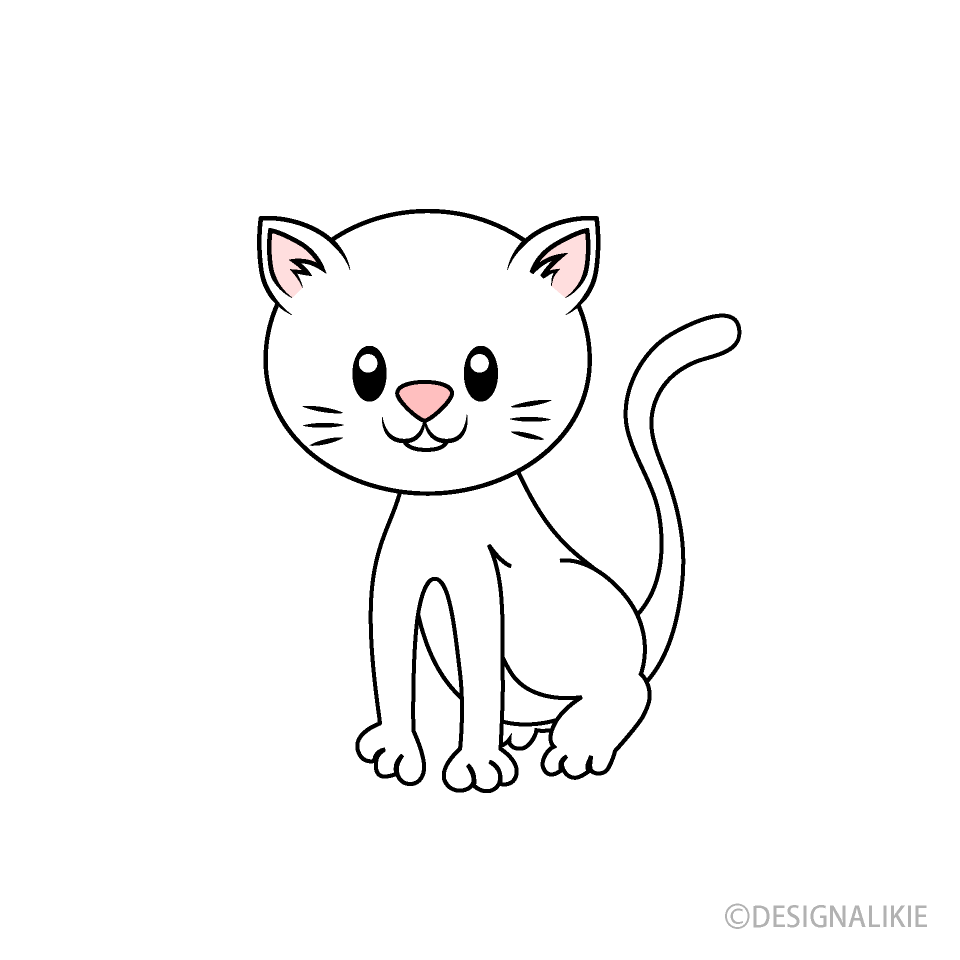 白い子猫
