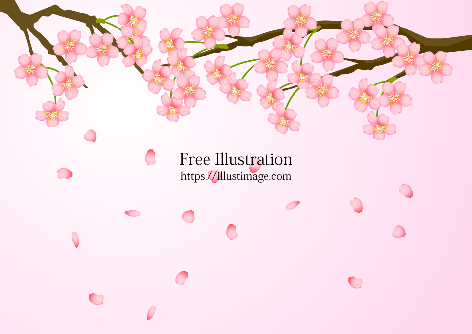 花びら散る満開の桜