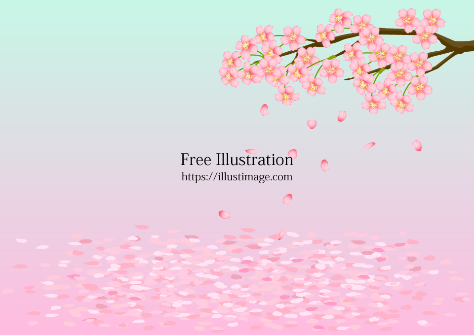 降り積もる桜の花びら