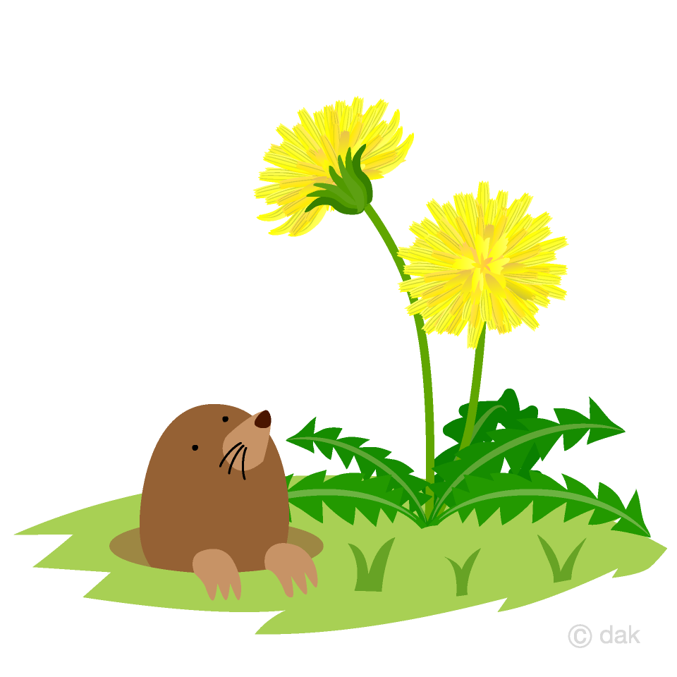 もぐらとタンポポ