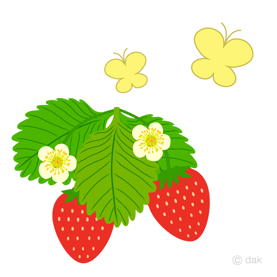 チョウチョといちご