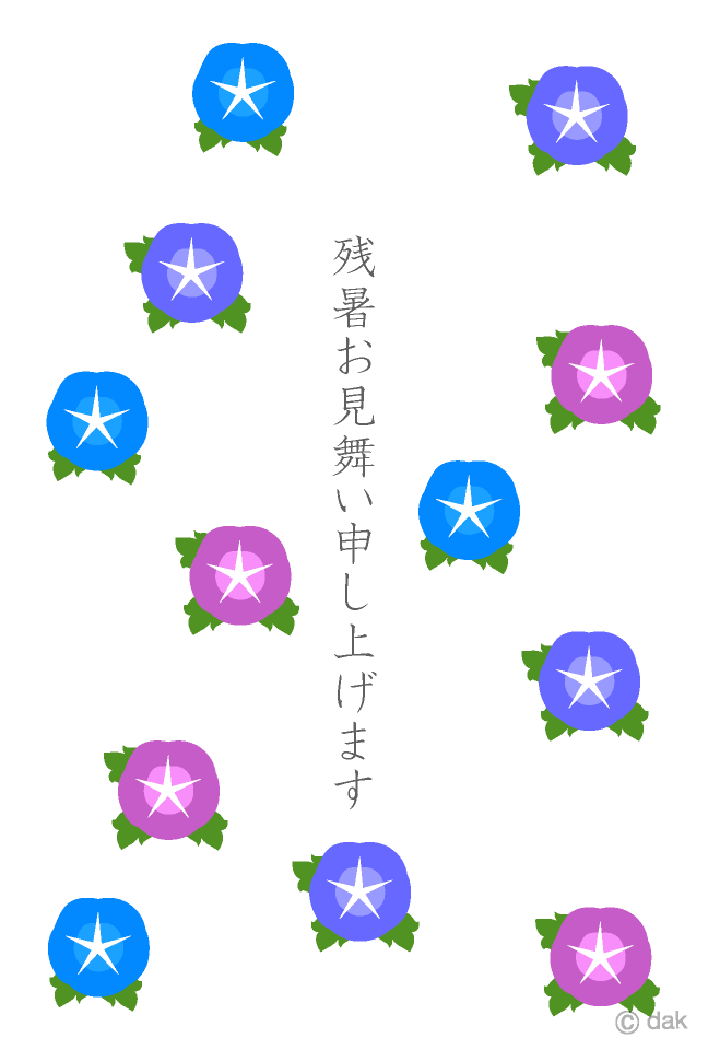 朝顔の残暑見舞い