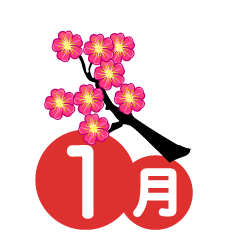 梅の花の1月