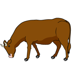 草を食べる茶色牛