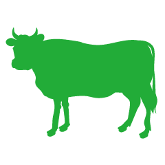 振り返る牛の緑シルエット
