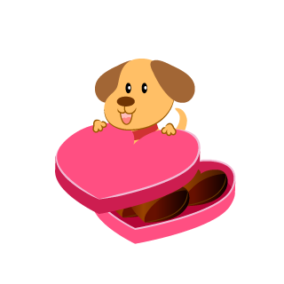 犬のバレンタインチョコ