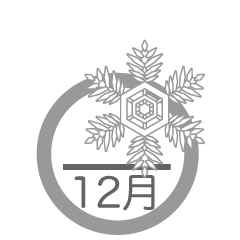 雪結晶の12月